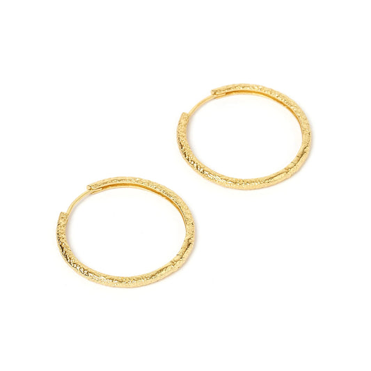 Sebastian Gold Hoop Earrings