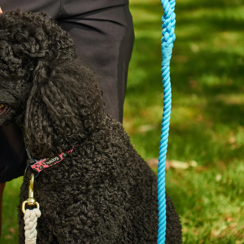 Hot Dog Rope Lead - Blue Skies