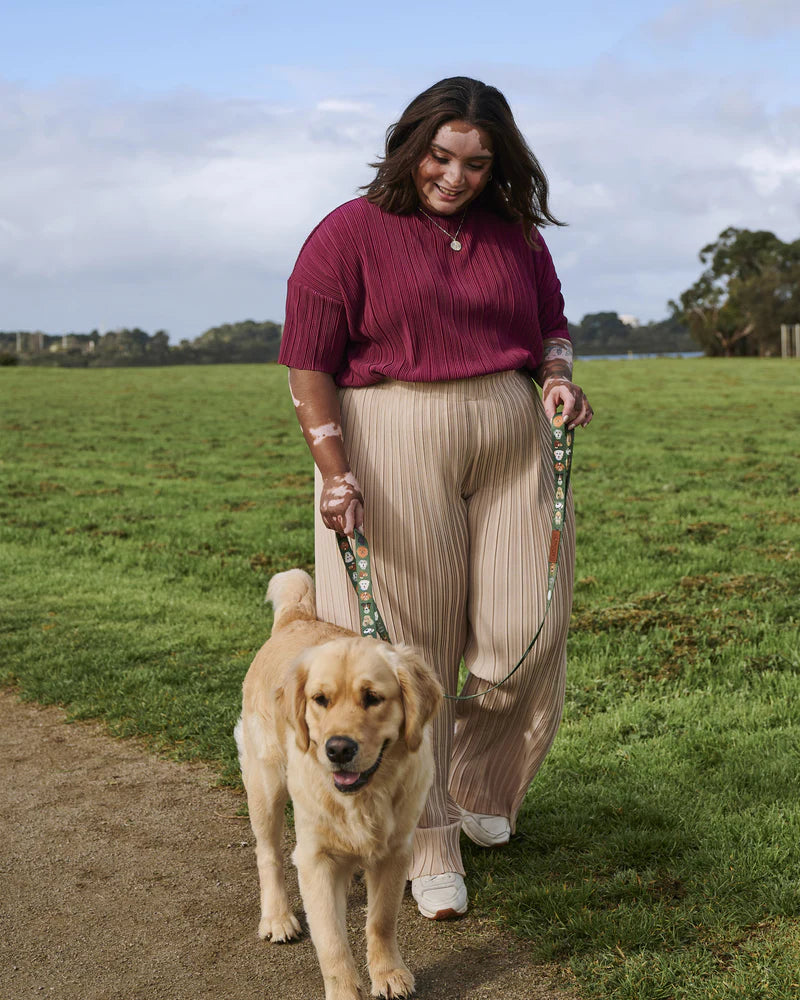 Dog Park Dog Lead - Various Sizes