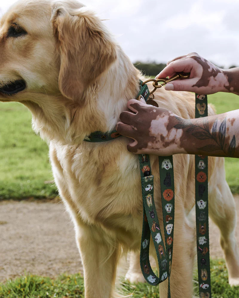 Dog Park Dog Lead - Various Sizes