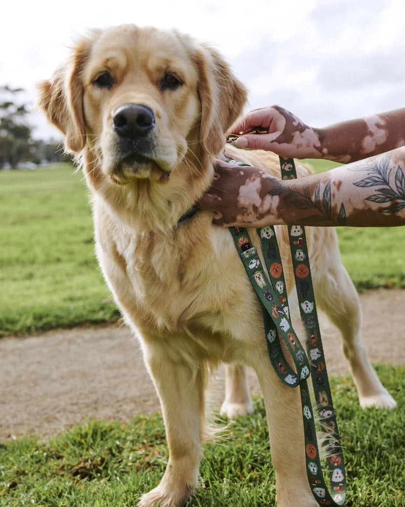 Dog Park Dog Lead - Various Sizes