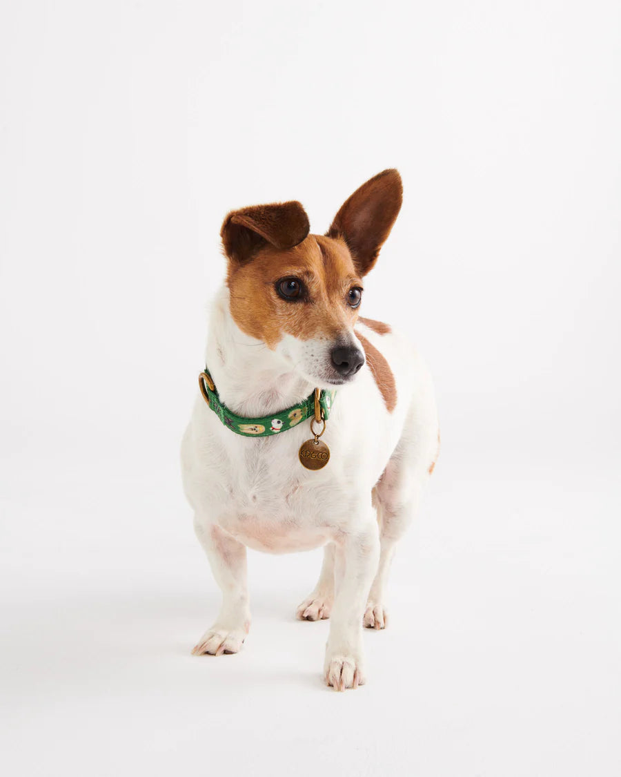 Dog Park Dog Collar - Various Sizes