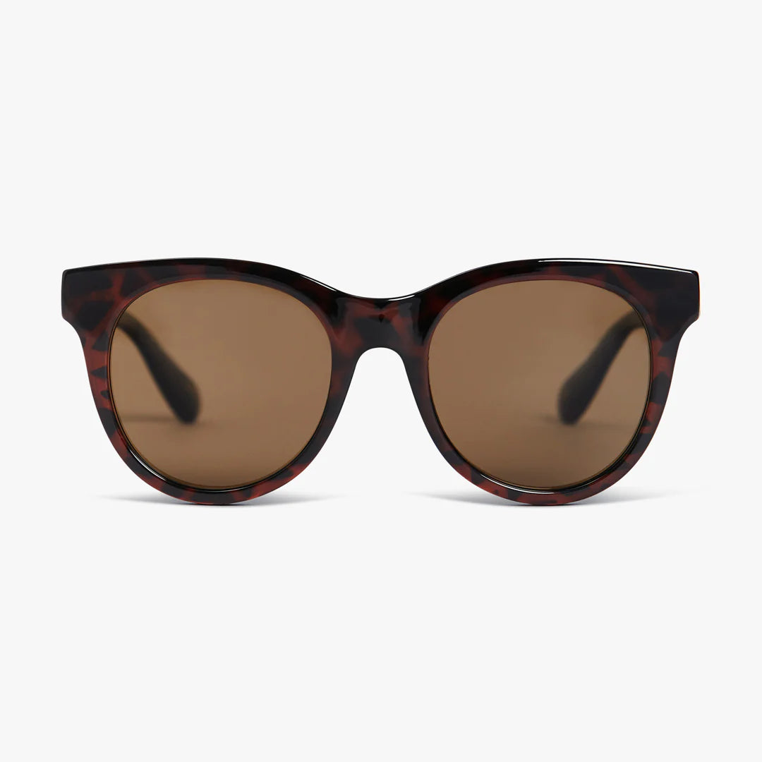 PRG Polarised Sunglasses - Tort Dark Brown