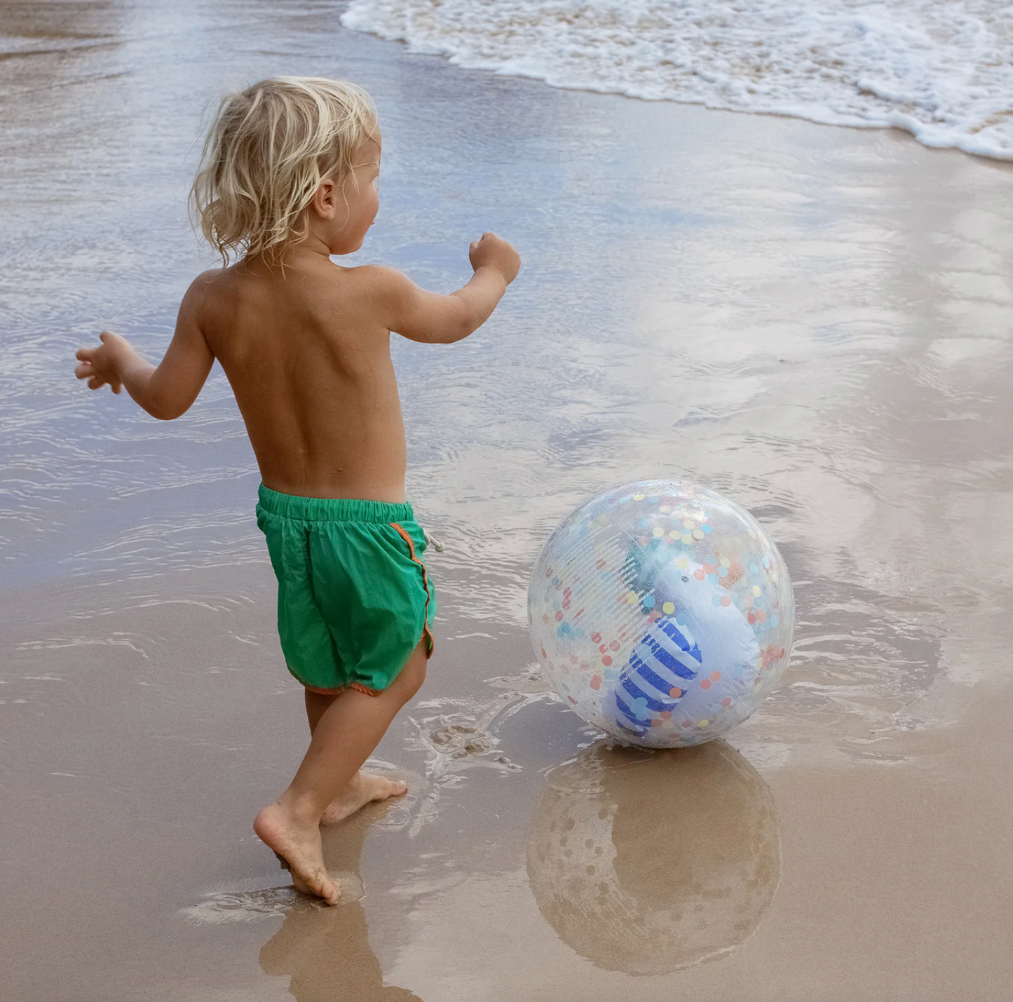 3D Inflatable Beach Ball - Sammy the Seagull