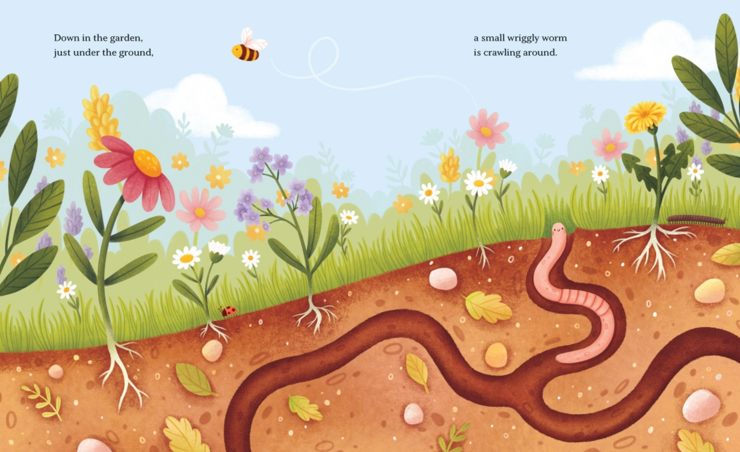 Worms Are Our Friends - Toni D'Alia