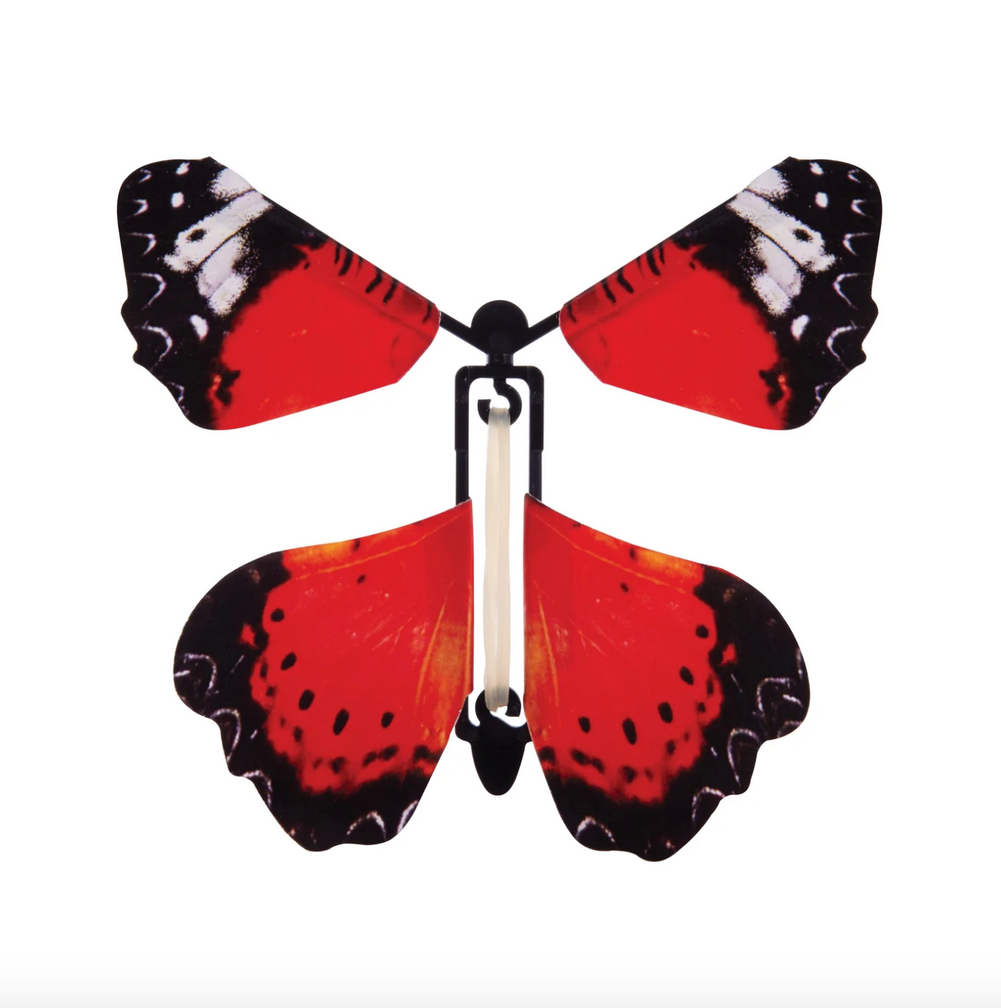 The Australian Collection Fluttering Butterfly