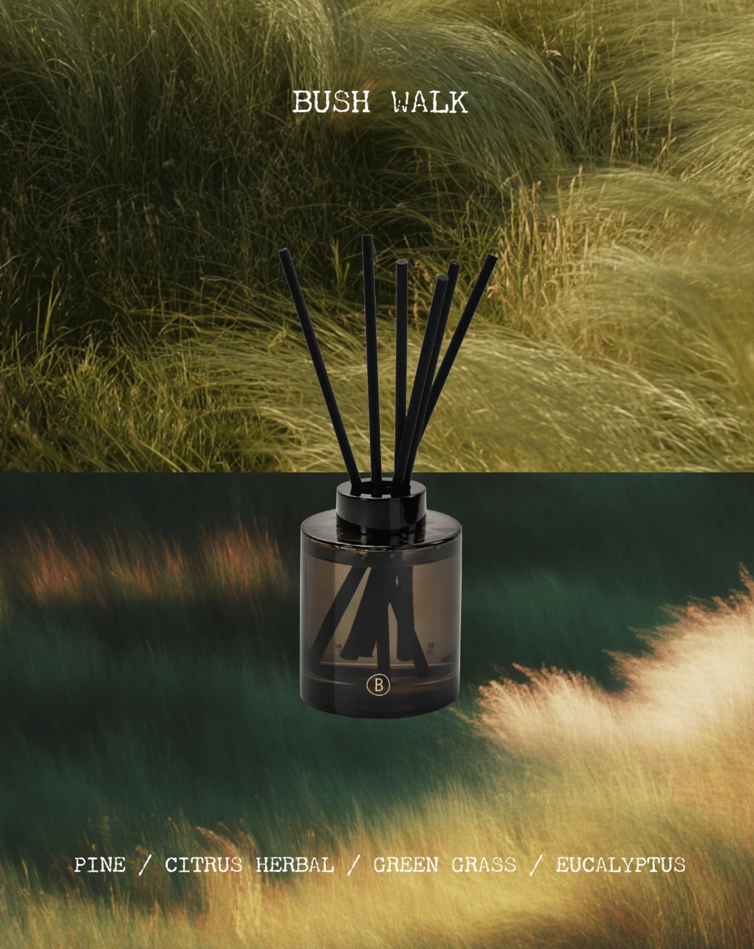 Diffuser - Bush Walk