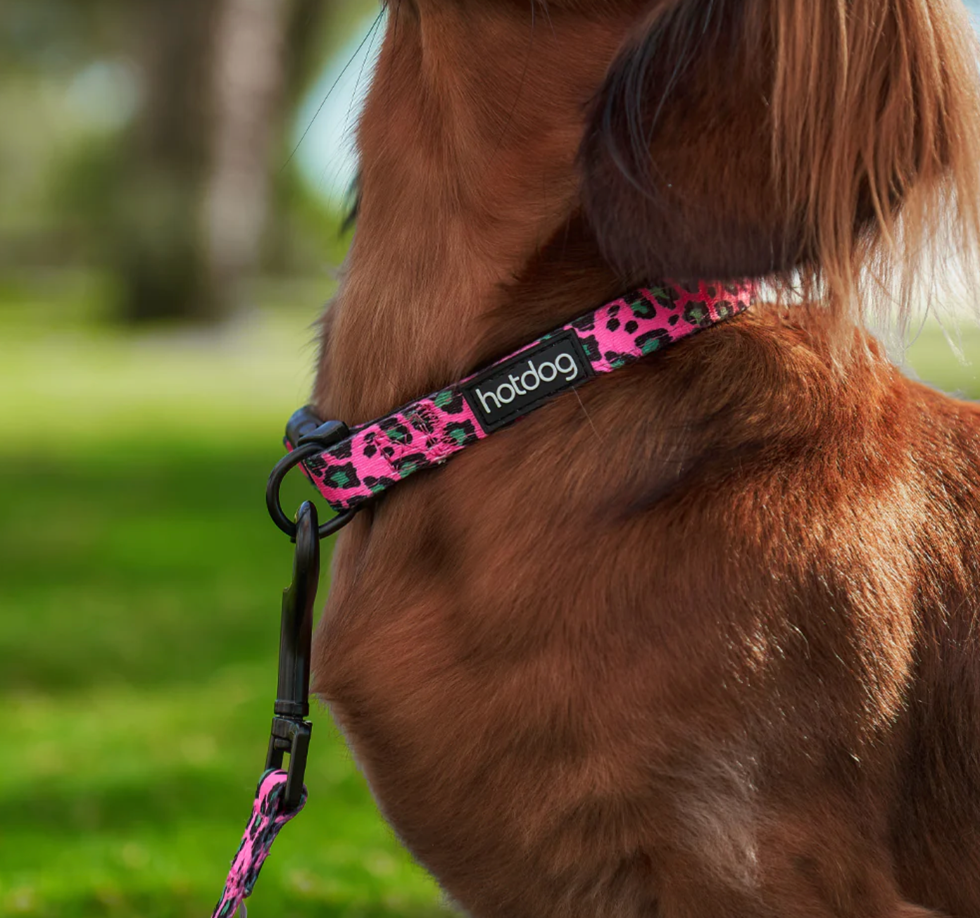Dog Collar Pink Ocelot - Small