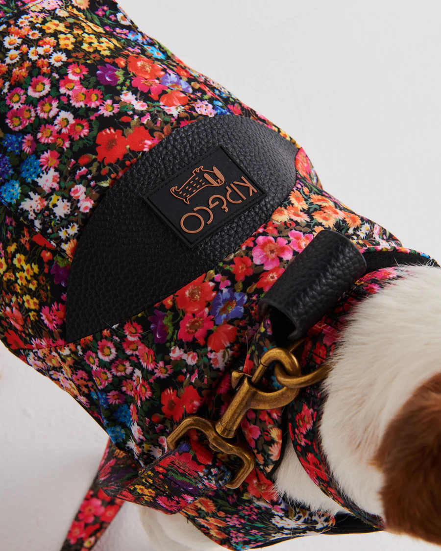 Forever Floral Dog Collar - Various Sizes