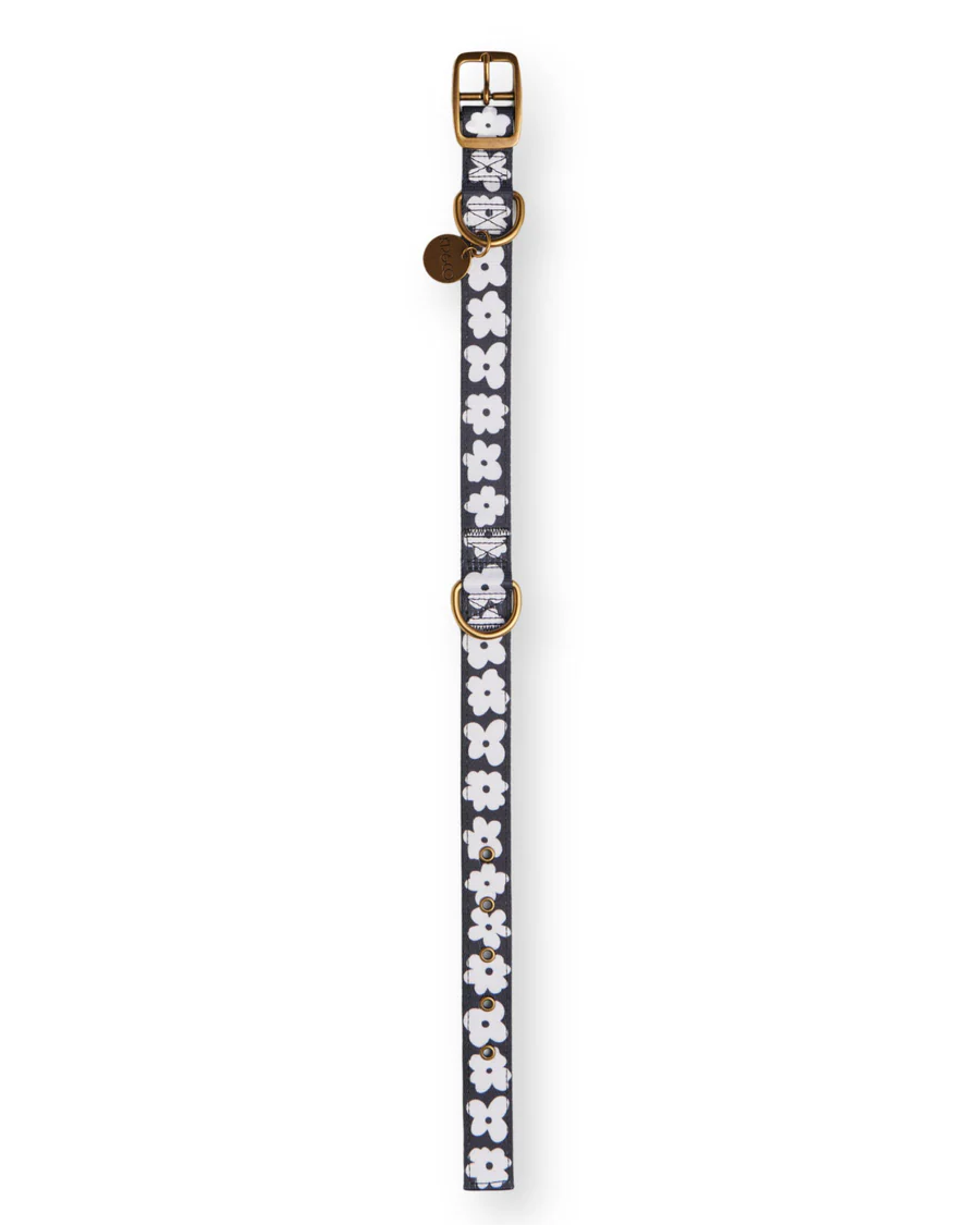 Flower Face Dog Collar - Various Sizes
