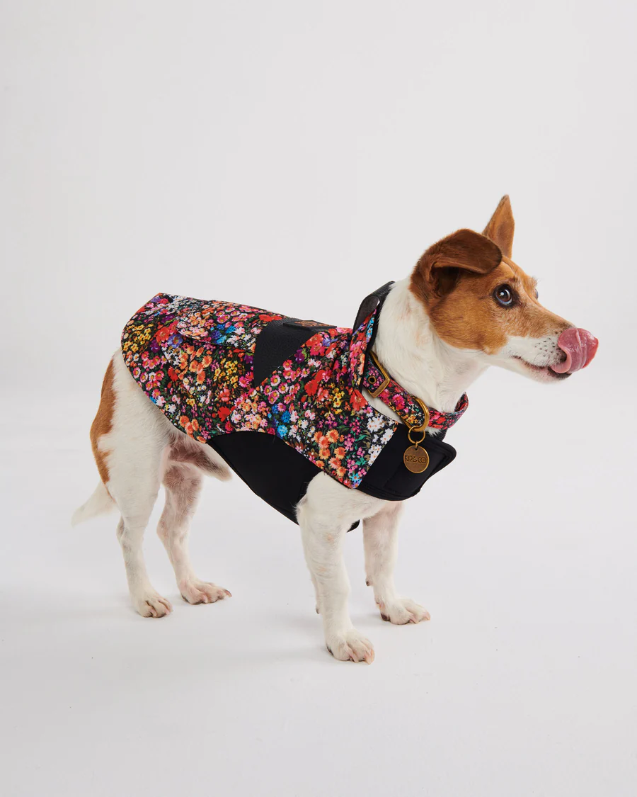 Forever Floral Dog Collar - Various Sizes