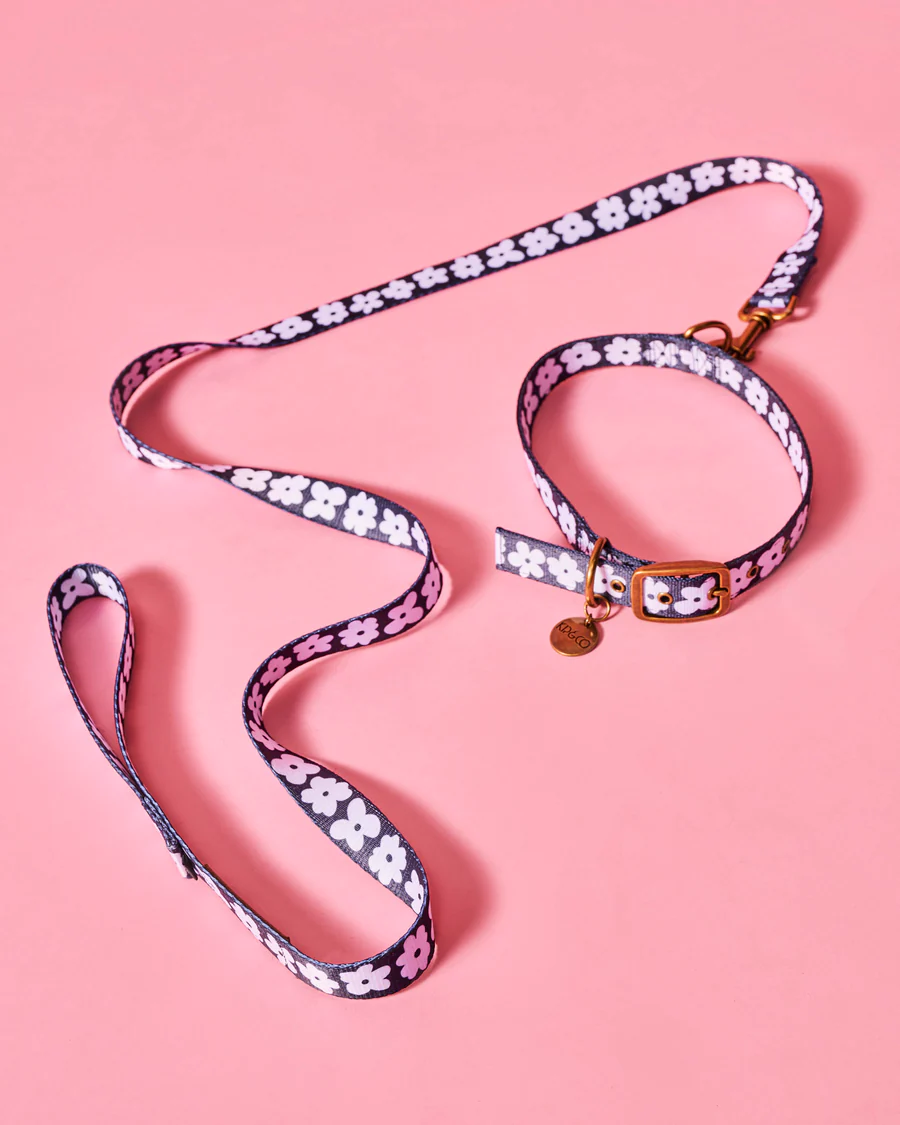 Flower Face Dog Collar - Various Sizes