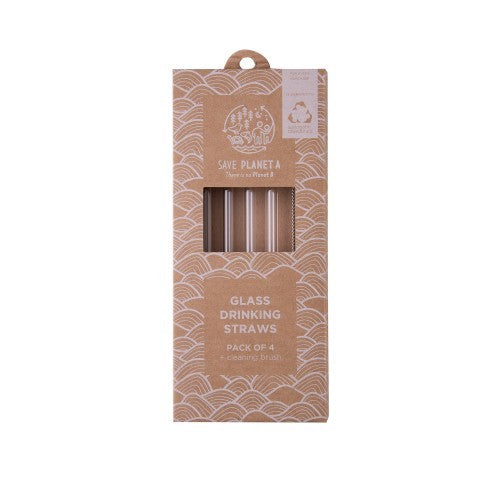 Glass Drinking Straws 4pk