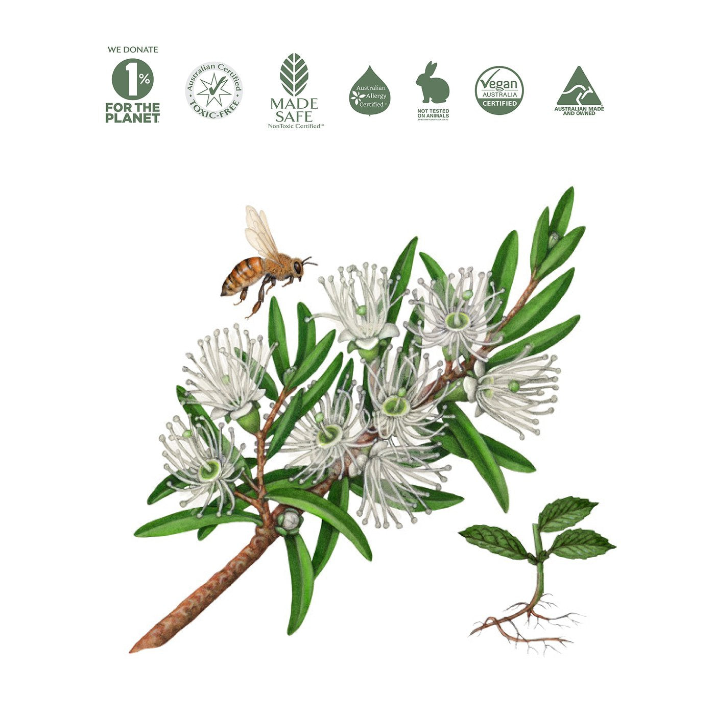 Natural Hand and Surface Spray - Rosalina & Peppermint