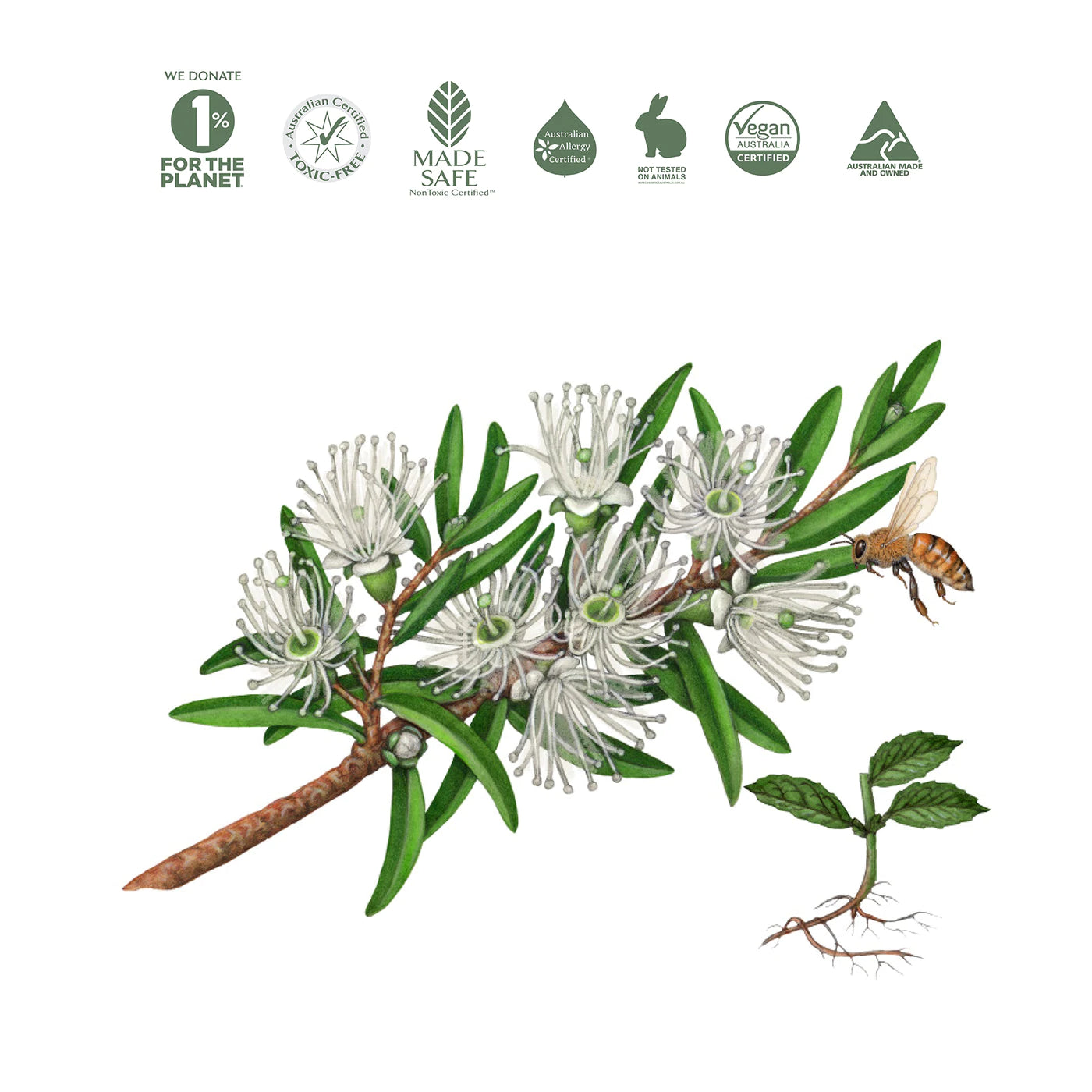 Natural Hand Wash - Rosalina & Peppermint