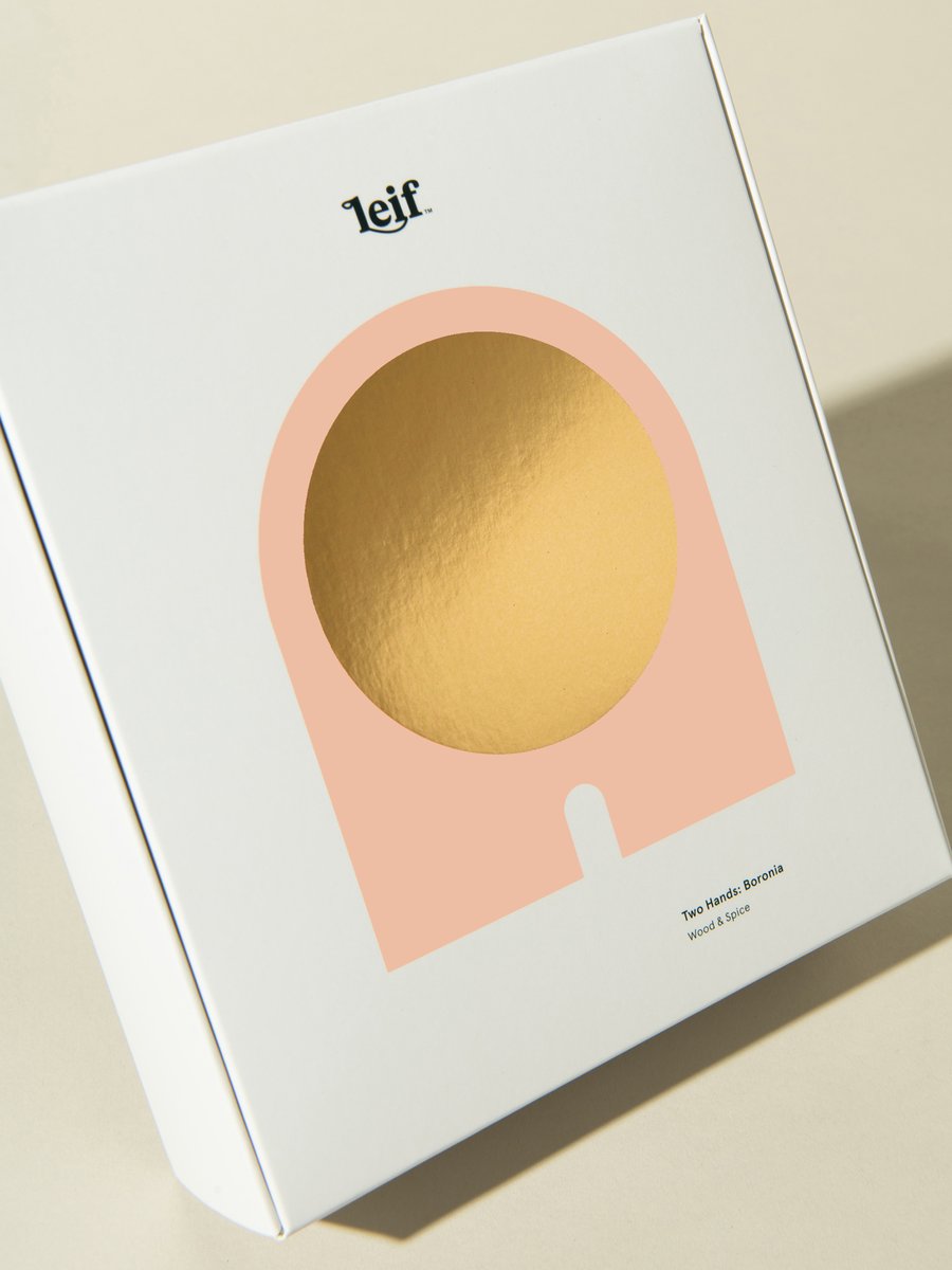 Two Hands Boronia (Small)