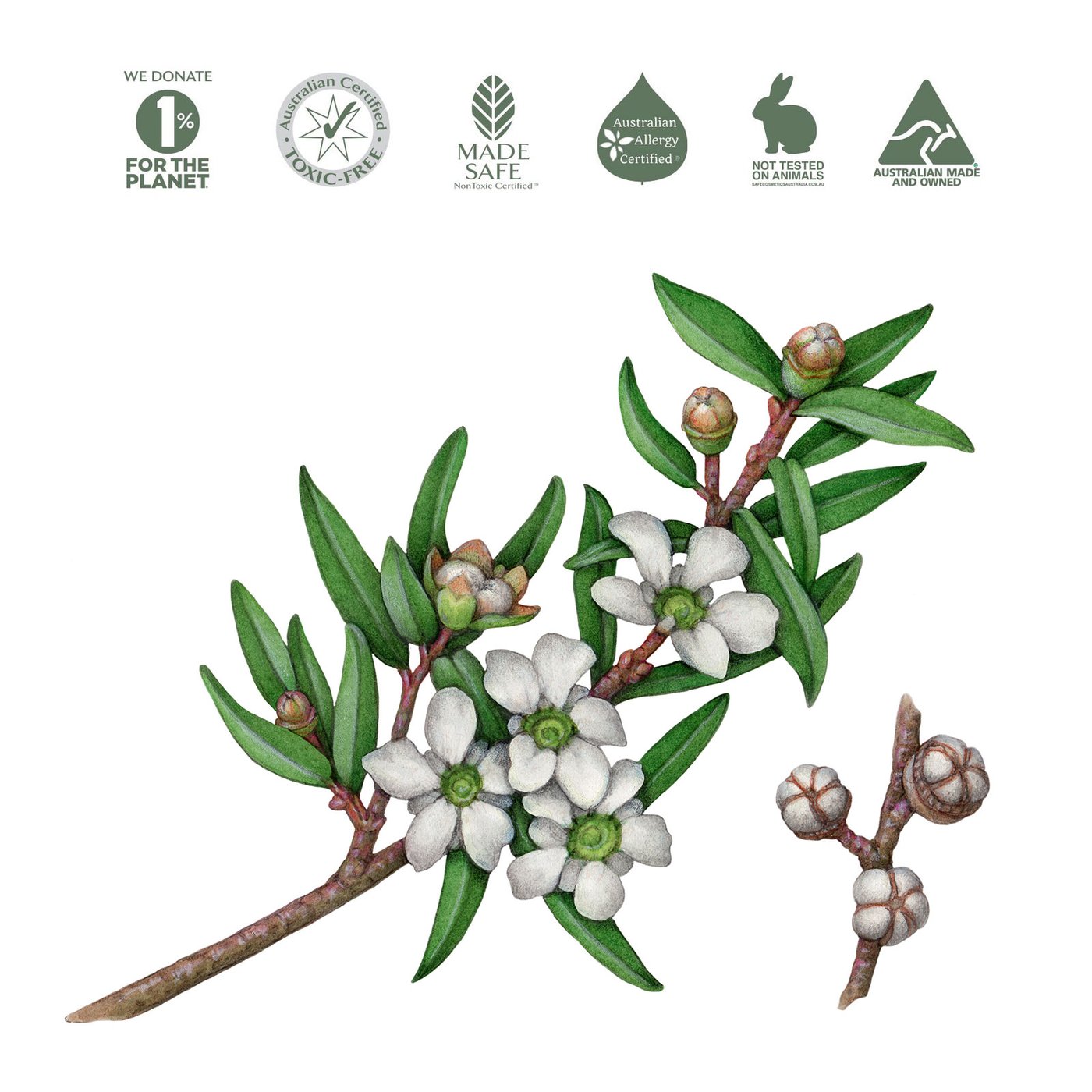 Natural Hand and Body Lotion - Lemon Scented Eucalyptus & Rosemary