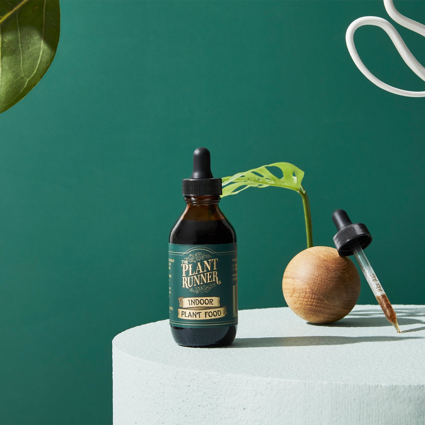 Indoor Plant Food - 100ml