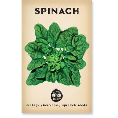 Spinach 'Bloomsdale' Seeds
