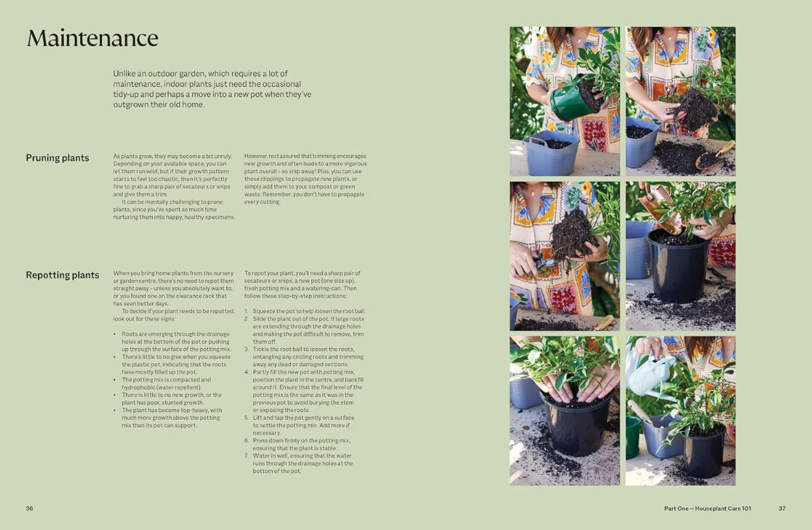 Plant Book - By Tammy Huynh