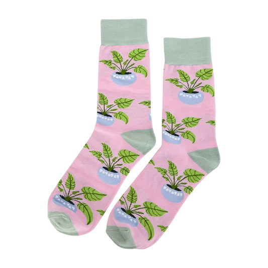 Boxed Socks - You Grow Girl