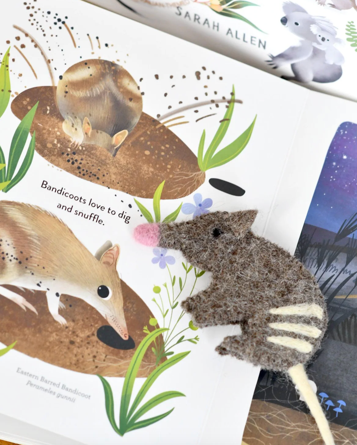 Jumping Joeys Finger Puppets & Book Set - By Sarah Allen