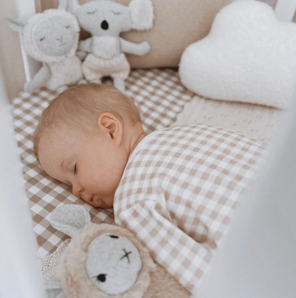 Bernard Koala - Soft Toy