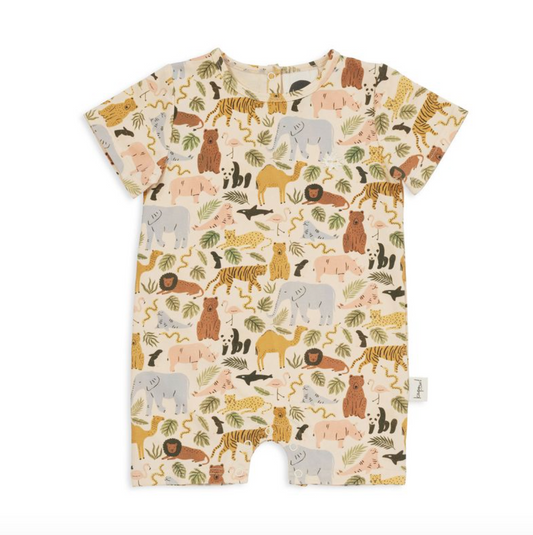 Animal Kingdom All In One - Various Sizes