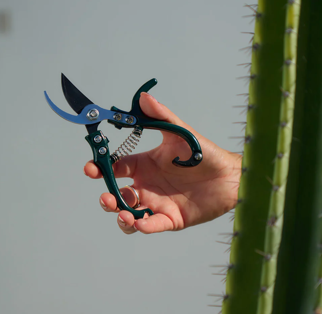 Sprout  Mini Pruners