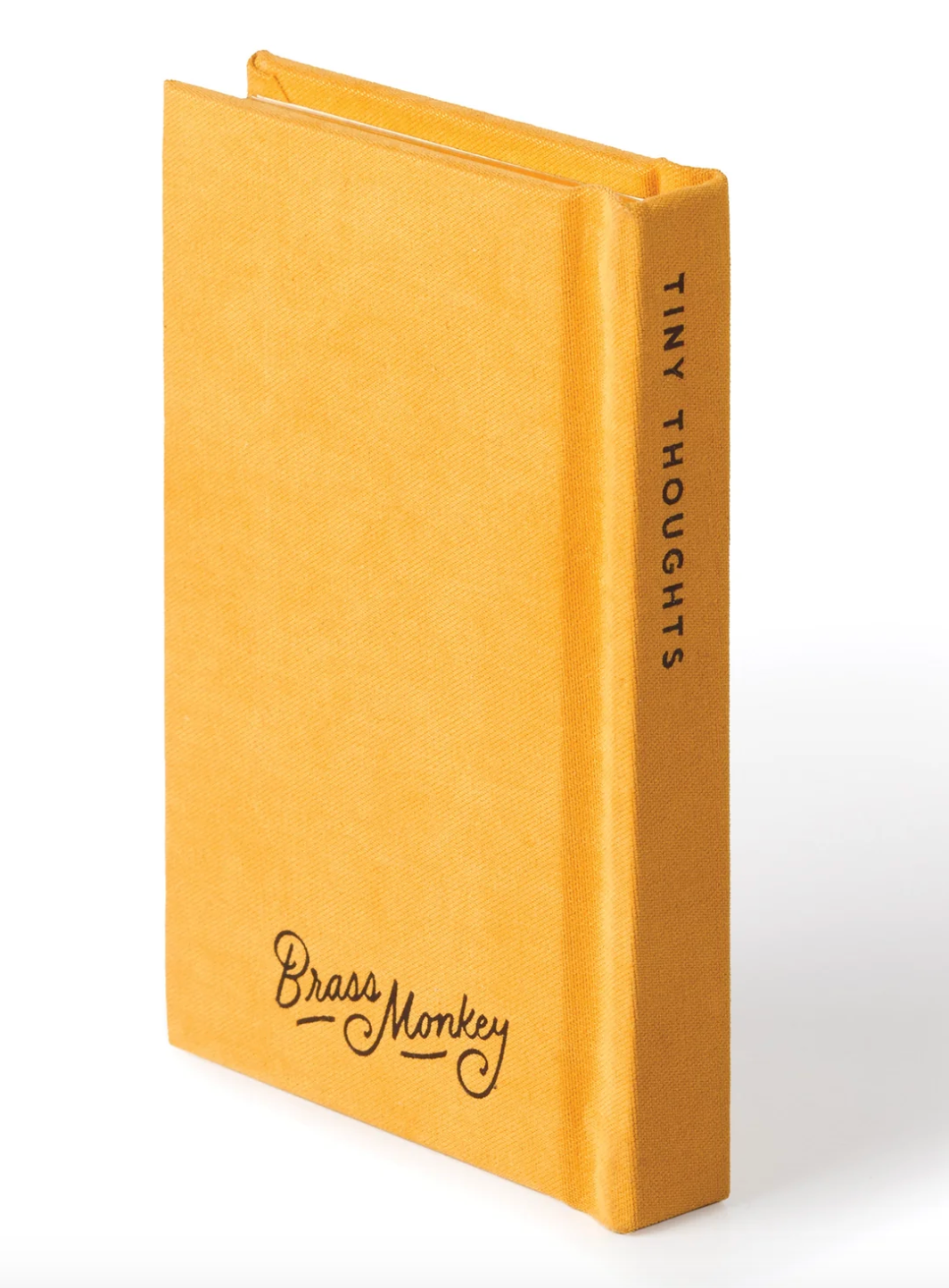 A Tiny Diary For Tiny Thoughts