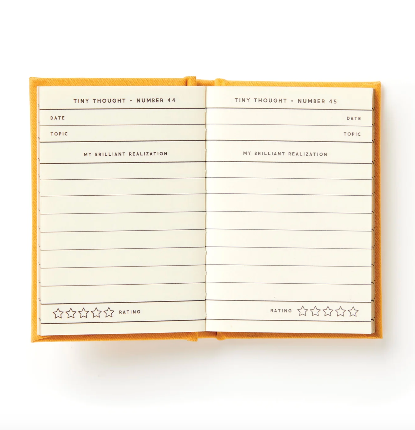 A Tiny Diary For Tiny Thoughts