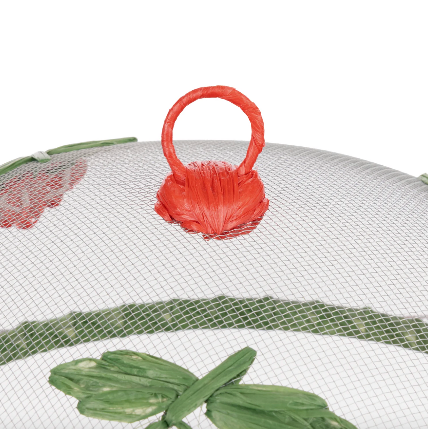 Strawberry Fields Food Cover