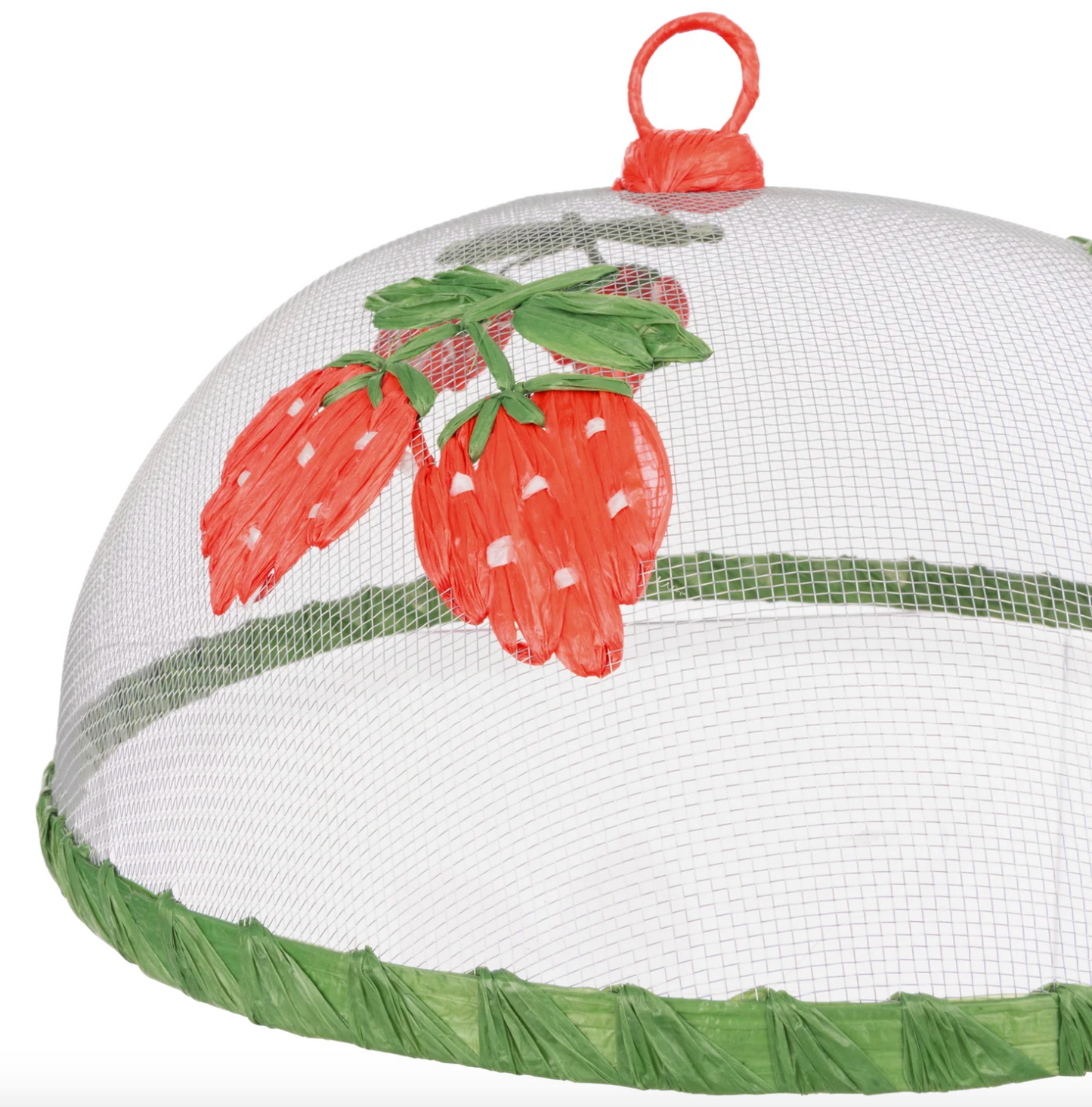 Strawberry Fields Food Cover