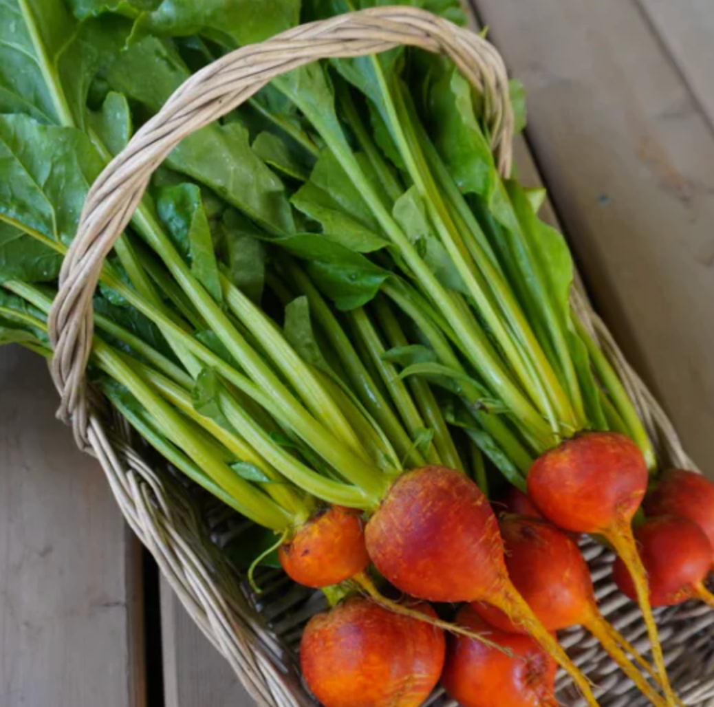 Beetroot 'Golden Boy' Seeds