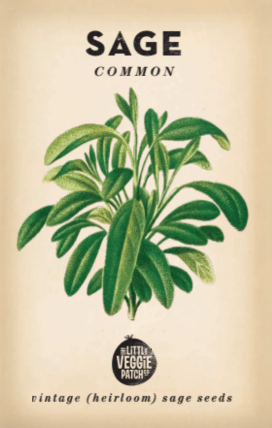 Sage 'Common' Heirloom Seeds