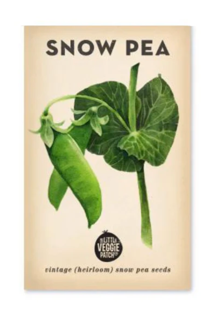 Snow Pea ' Oregon' Heirloom Seeds (Sweet Mammoth)