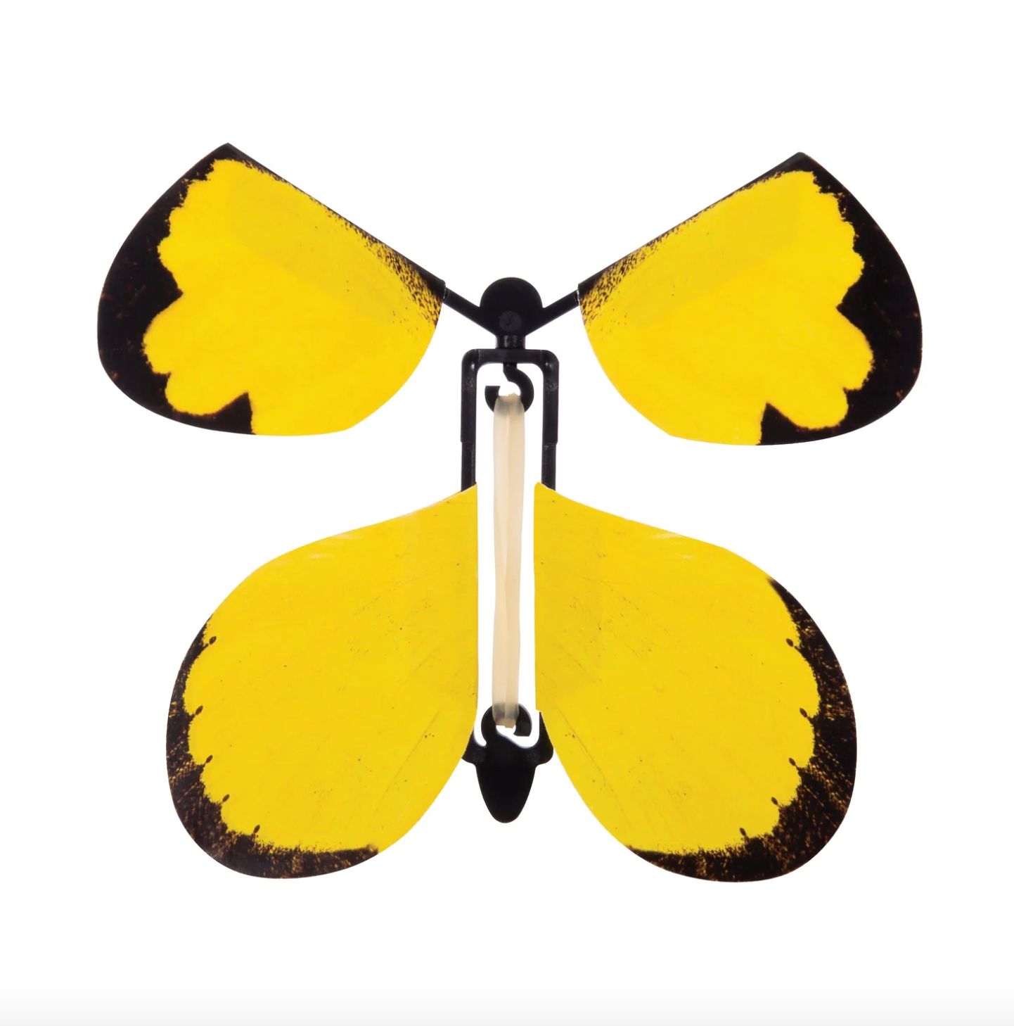 The Australian Collection Fluttering Butterfly