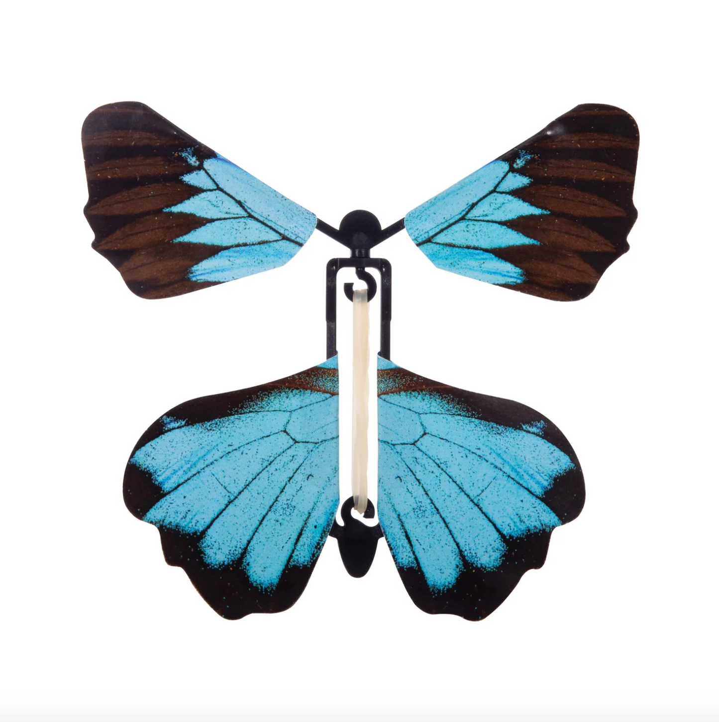 The Australian Collection Fluttering Butterfly