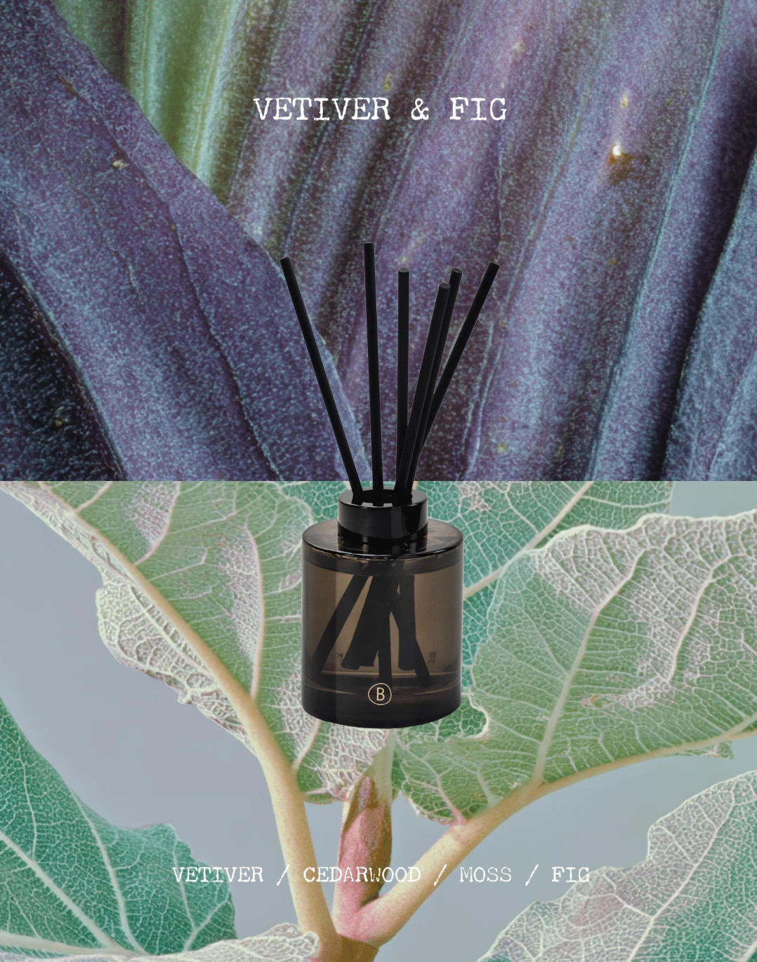 Diffuser - Vetiver Fig