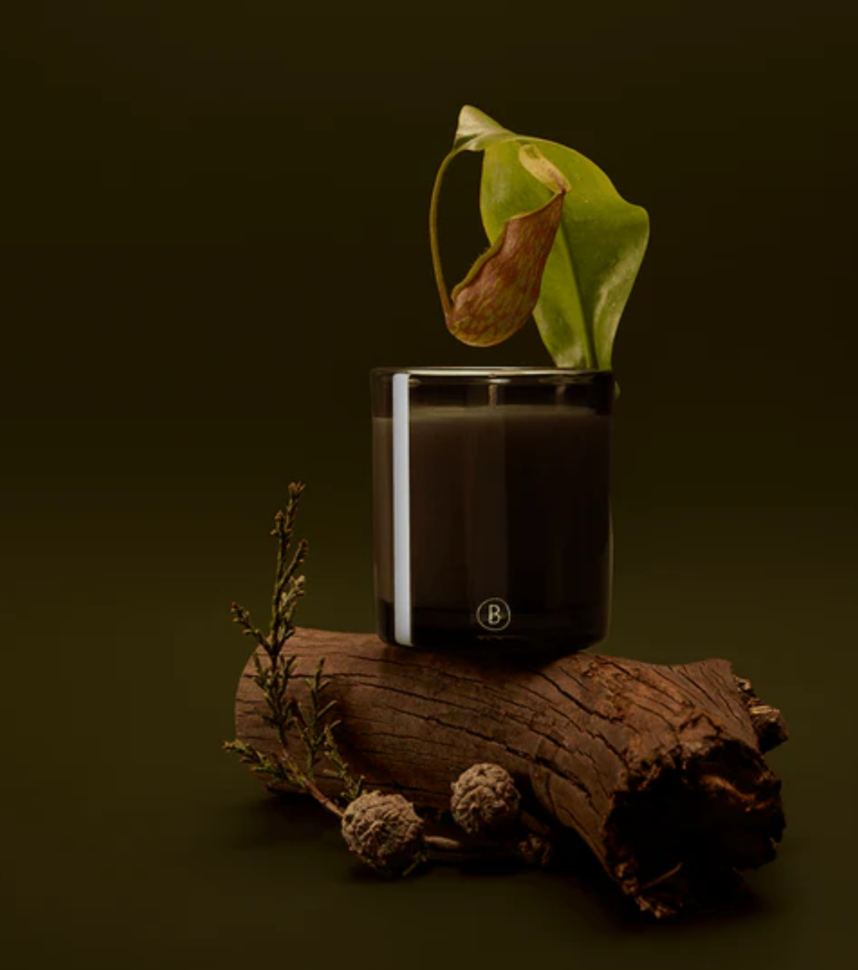 Scented Candle - Bush Walk 200g - New Packaging