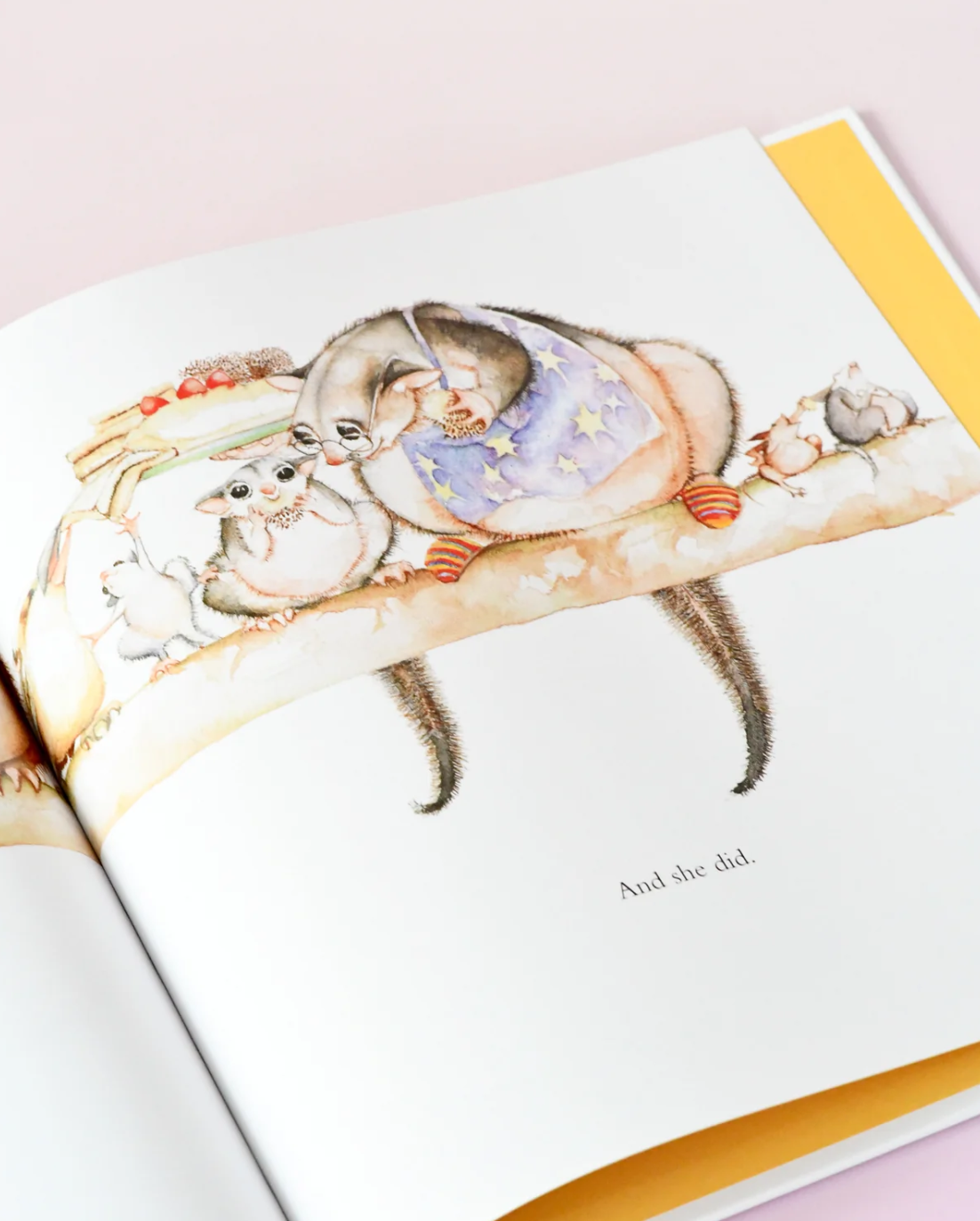 Possum Magic Book