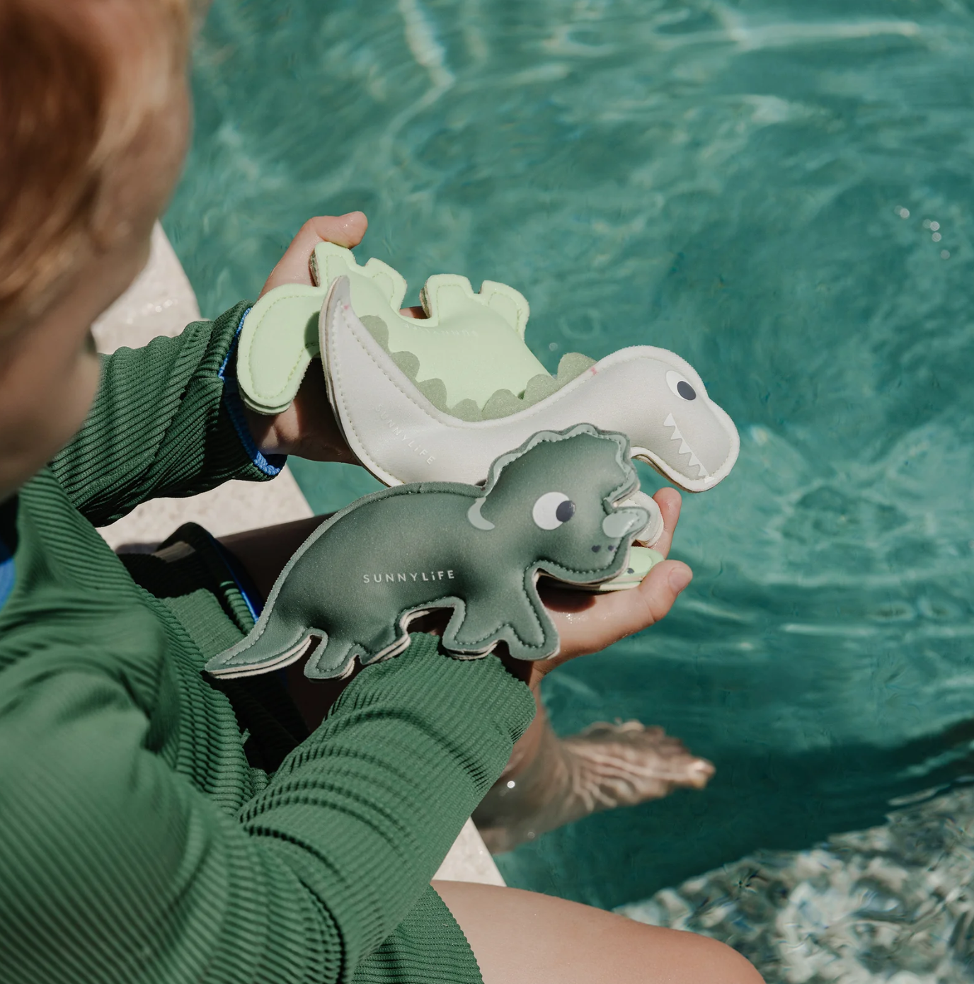 Dive Buddies - Dino