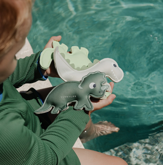 Dive Buddies - Dino