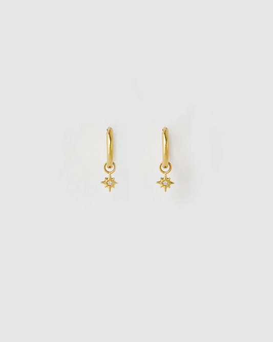 Lior Gold Earrings