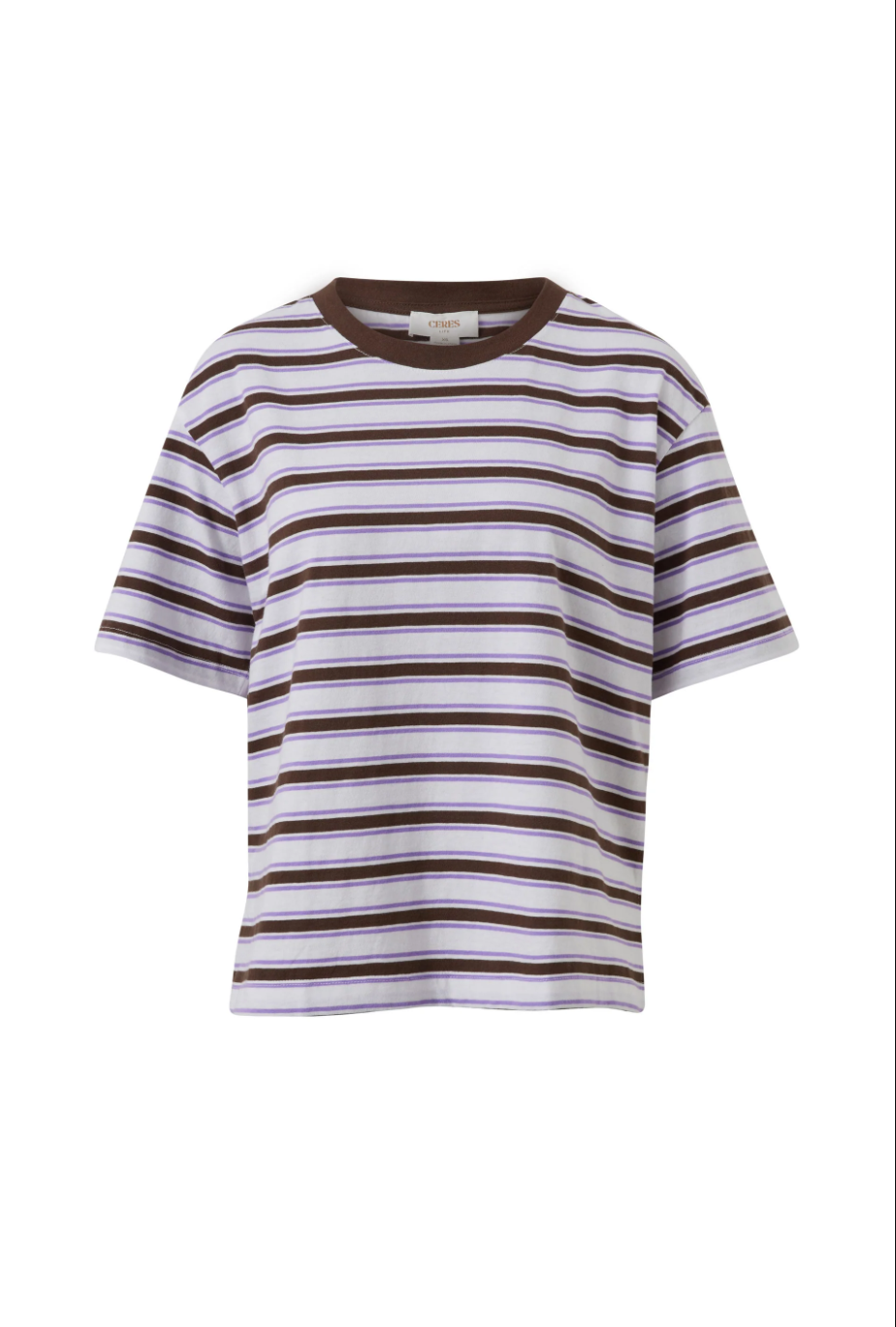 Stevie Slouchy Tee - Brunette Orchid Stripe