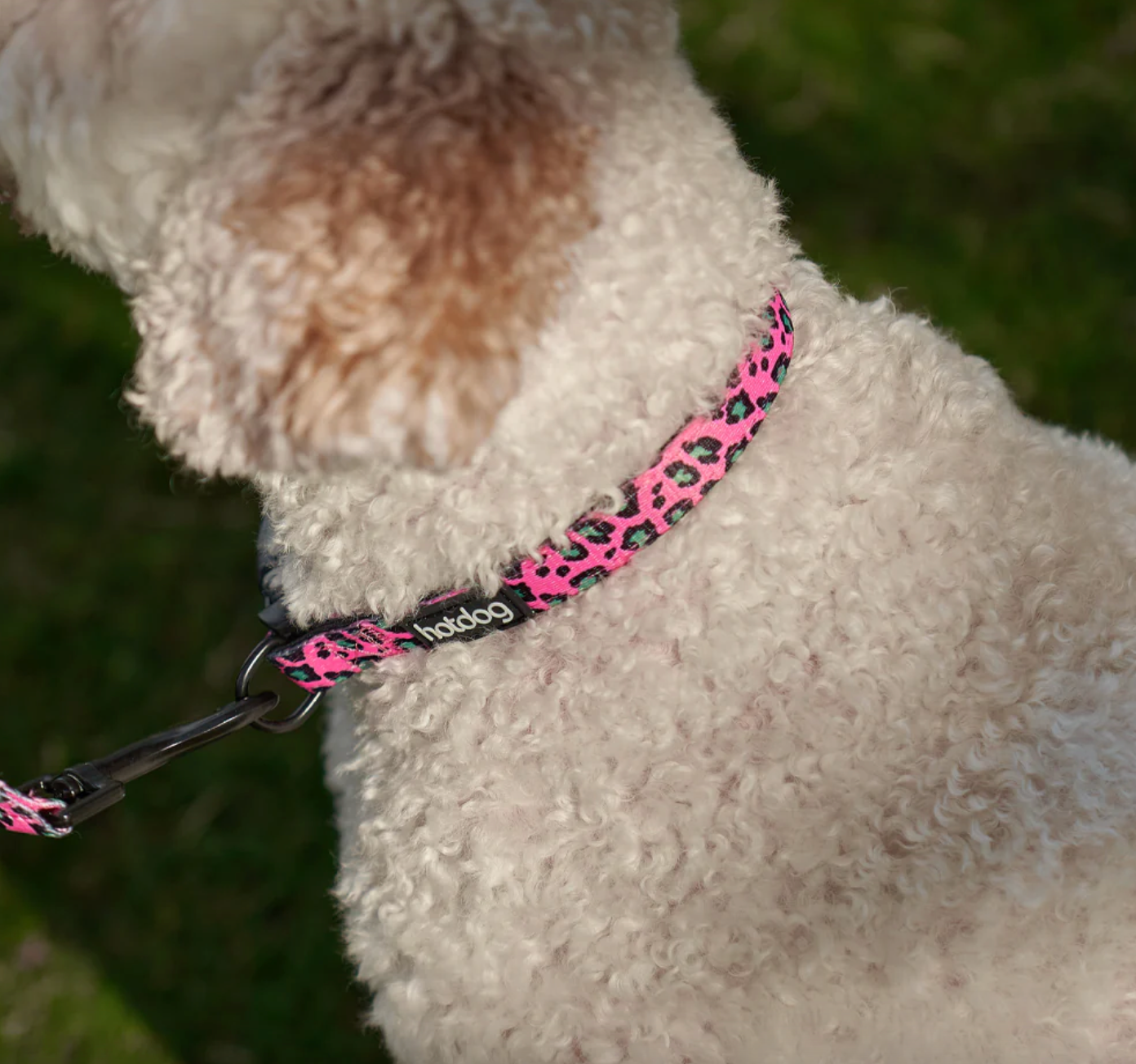 Dog Collar Pink Ocelot - Small