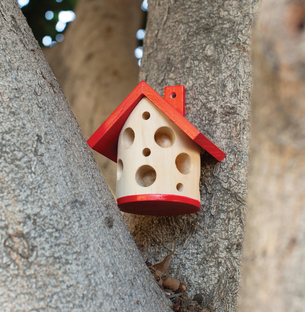 Lady Bug House Natural