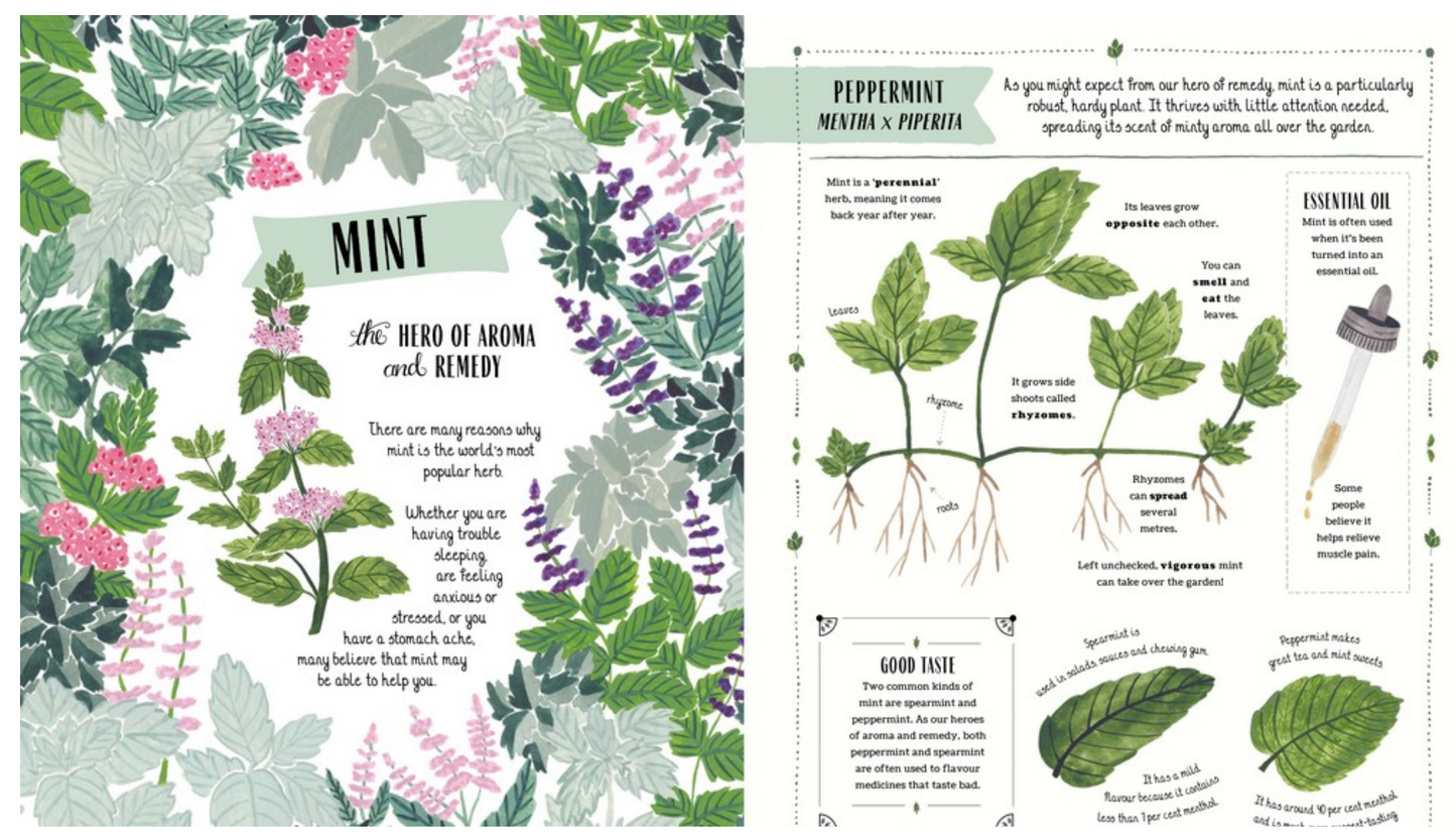 Grow: A Children's Guide to Plants and How to Grow Them by Rizanino Reyes