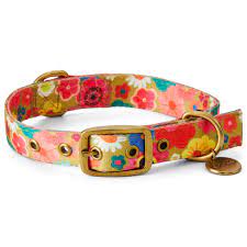 Flower Bed Dog Collar - Small