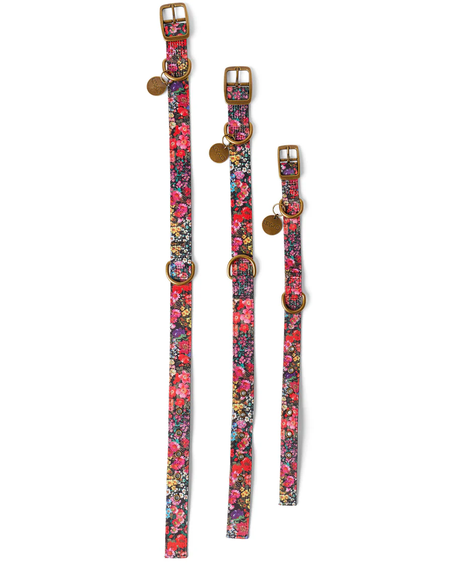 Forever Floral Dog Collar - Two Sizes